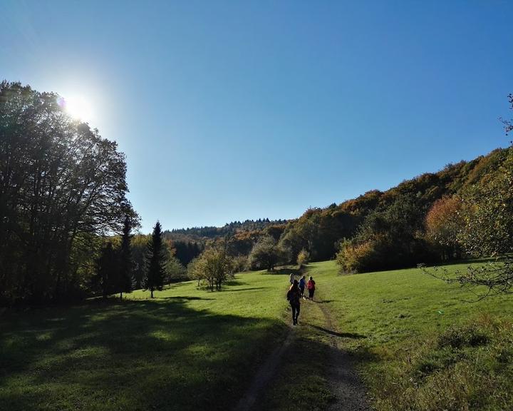 Pfälzer Wald Verein Dahn